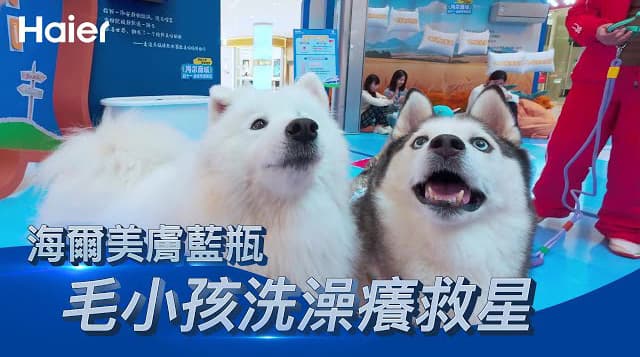 養寵物必備！海爾美膚大藍瓶｜洗澡第一道防線，解決皮膚瘙癢紅疹問題！